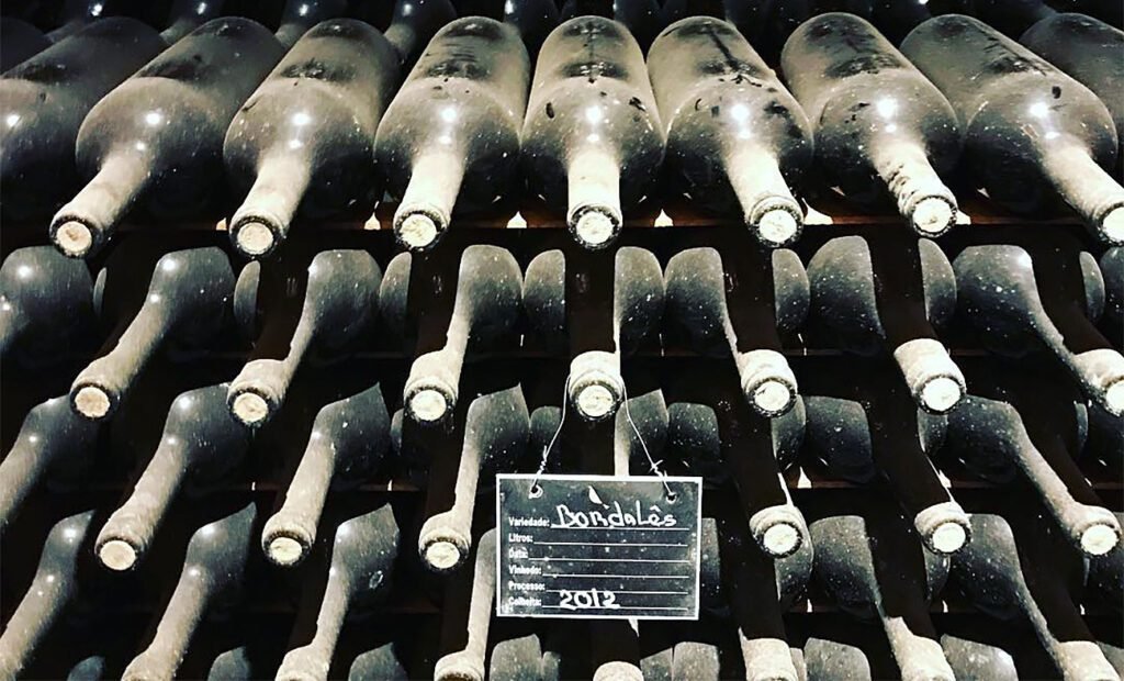 Vinícola Guaspari localizada no interior de São Paulo, cercada por vinhedos e montanhas.