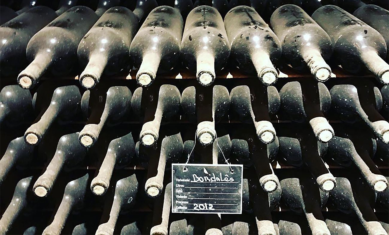 Vinícola Guaspari localizada no interior de São Paulo, cercada por vinhedos e montanhas.