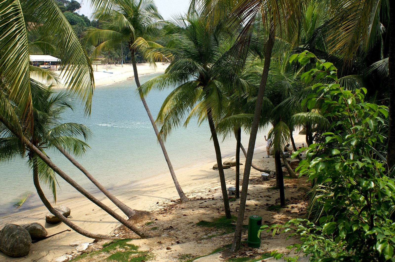 Vista panorâmica de uma das praias secretas de São Paulo durante o verão, com águas cristalinas e vegetação exuberante ao redor.
