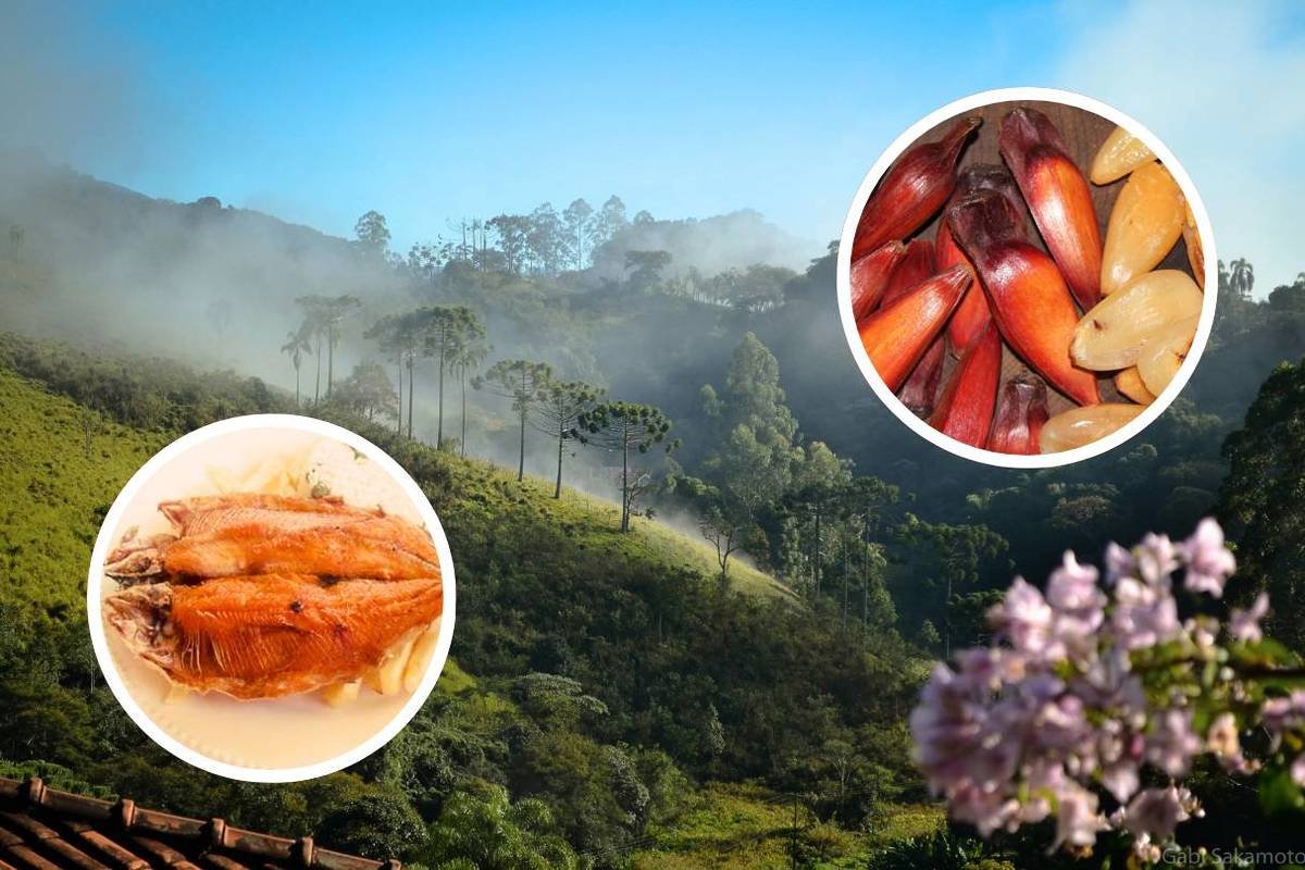 Festival da Truta e do Pinhão em Santo Antônio do Pinhal com pratos típicos.