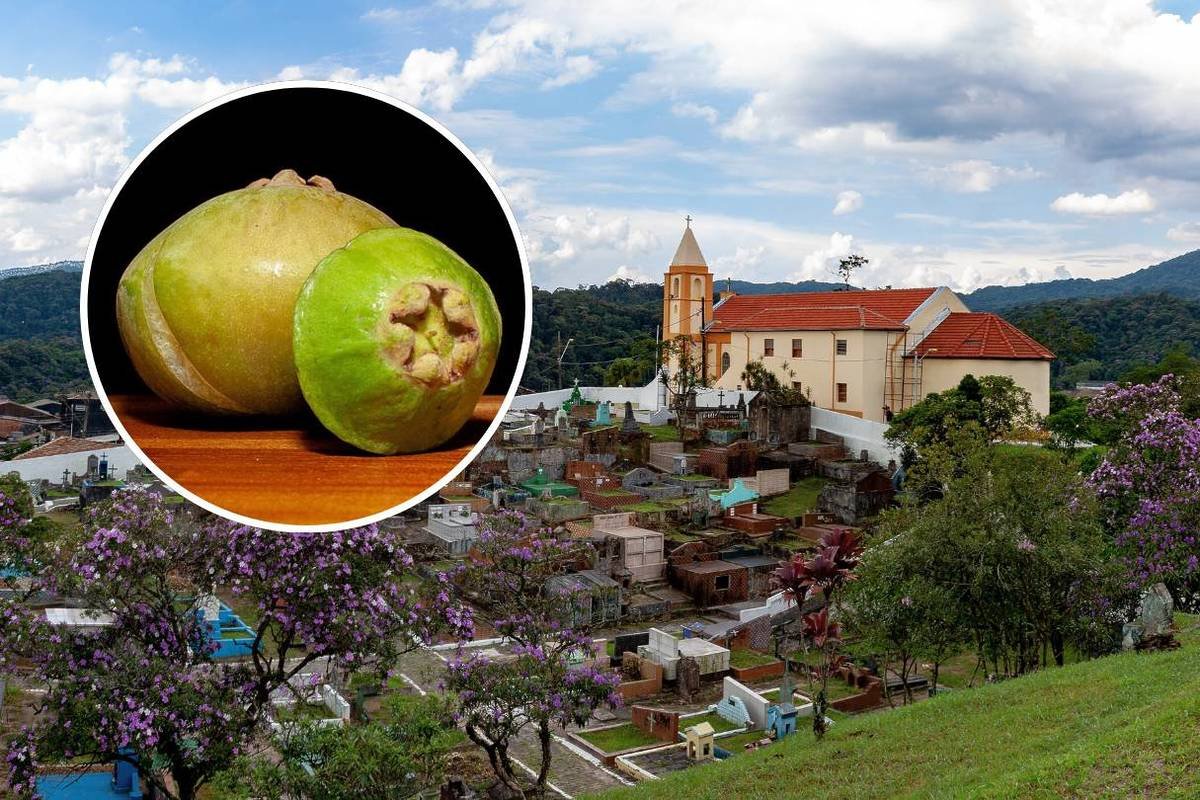 Festival do Cambuci em Paranapiacaba com pratos típicos como coxinha e cachaça