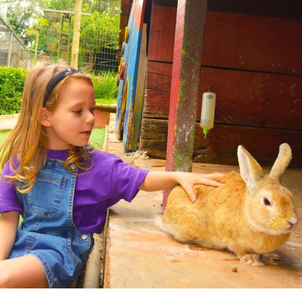 Crianças interagindo com animais no Bichomania Parque Fazenda em Cotia