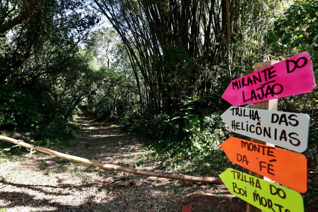 Trilha no Parque dos Morros com vegetação exuberante e visitantes caminhando