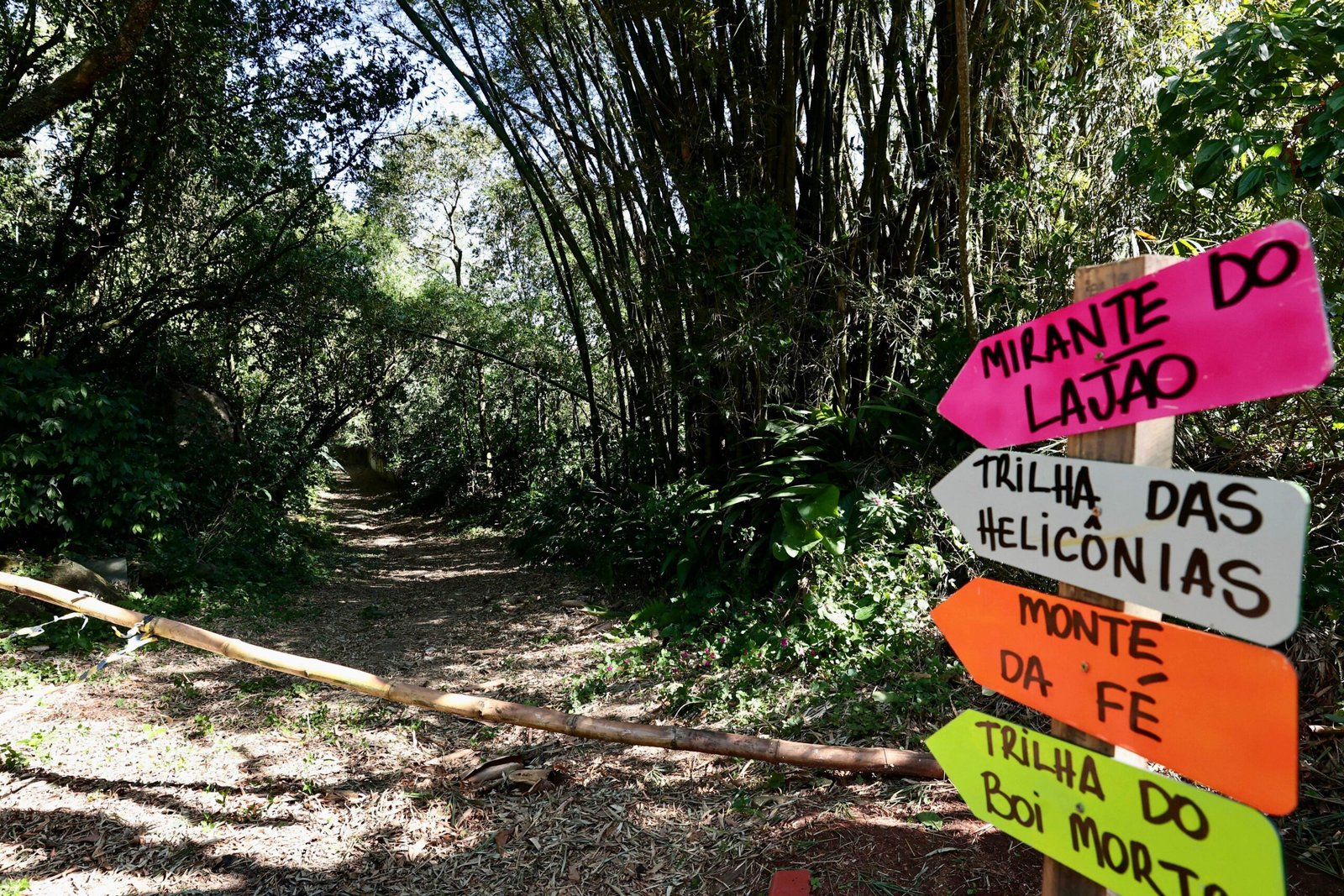 Trilha no Parque dos Morros com vegetação exuberante e visitantes caminhando
