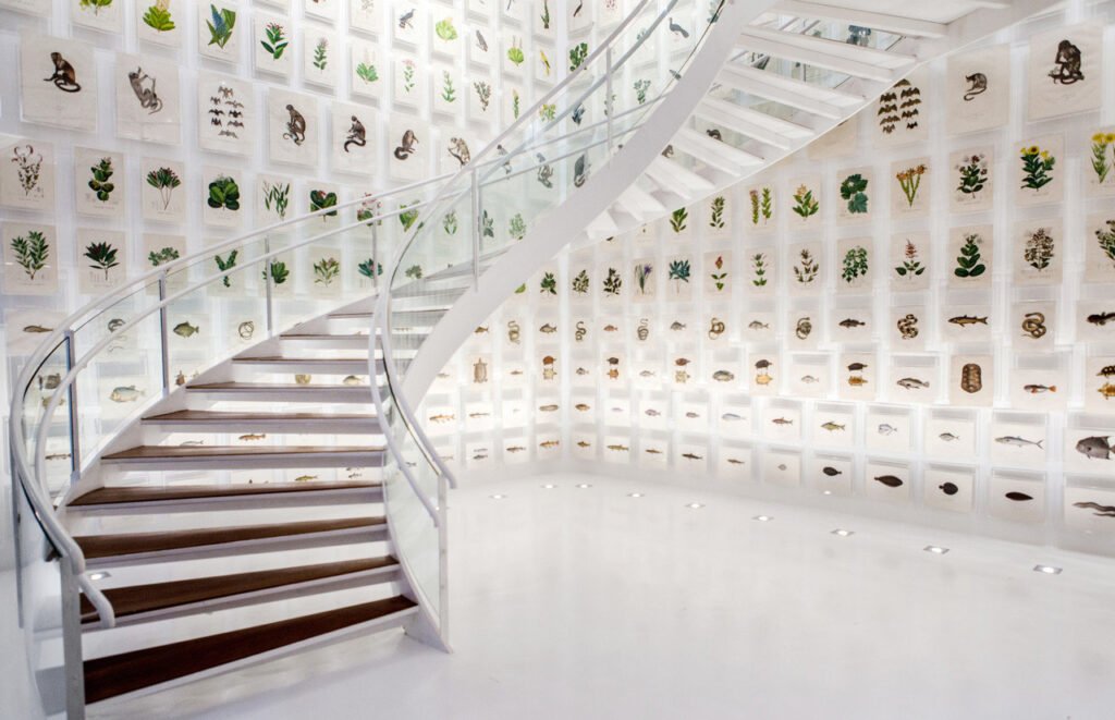 Fachada do Itaú Cultural em São Paulo, destacando sua arquitetura moderna e rodeada por vegetação