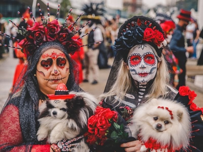 Festival de Dia de Muertos em São Paulo com desfile, lucha libre e altares coloridos