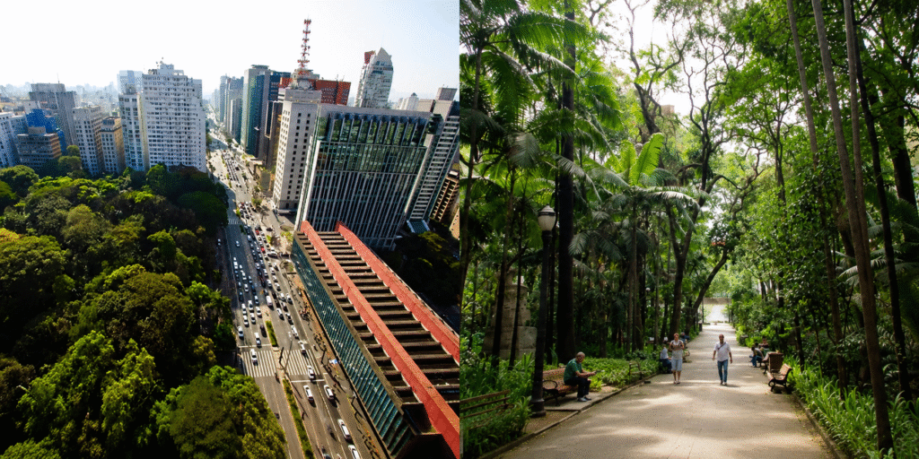 Vista do Parque Trianon em São Paulo com árvores nativas e espaço para relaxamento