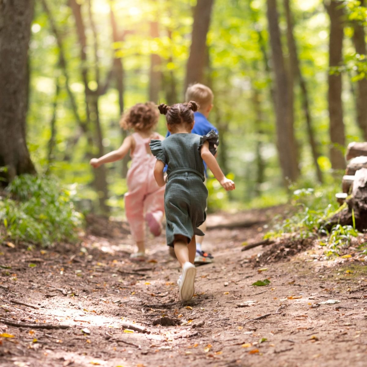 Crianças explorando a natureza durante um passeio em família