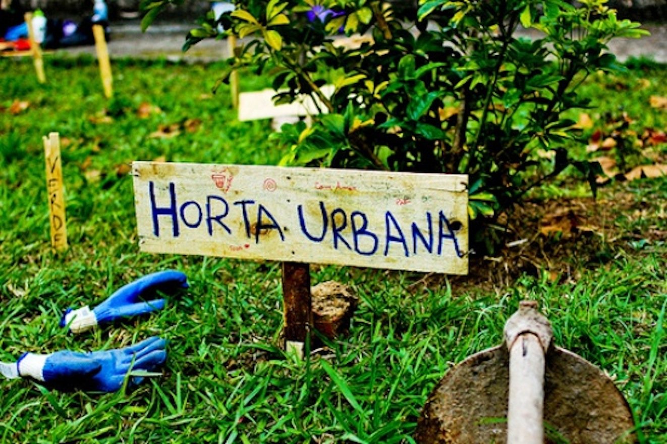 Horta urbana em São Paulo com vegetais e flores, ilustrando o cultivo comunitário