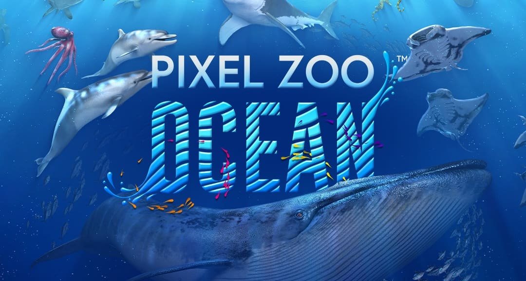 Imagem da exposição Pixel Zoo Ocean, mostrando projeções de ecossistemas marinhos vibrantes com criaturas como peixes-palhaço, tartarugas e lulas-gigantes